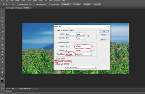 How To Resize Images In Photoshop