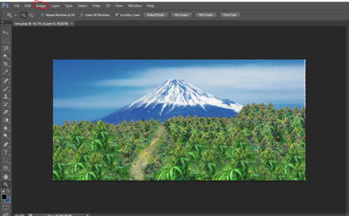 How To Resize Images In Photoshop