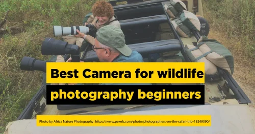 Best Camera for Wildlife photography beginners-01