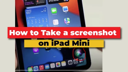 How to Take a screenshot on iPad Mini