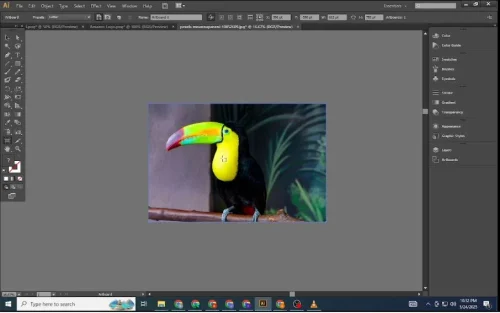 Image Trace Complex Files
