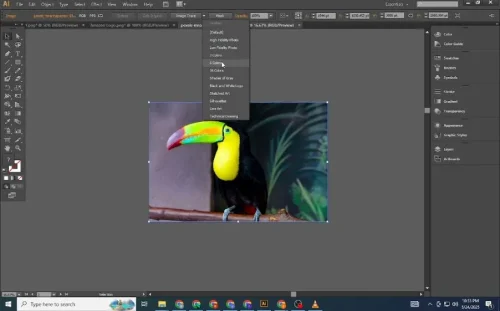 Vectorize using the Pen Tool
