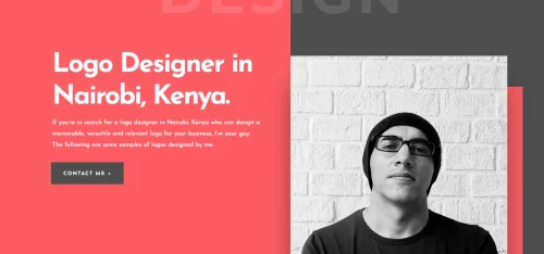 Ashraf Freelance logo designer and Branding Expert